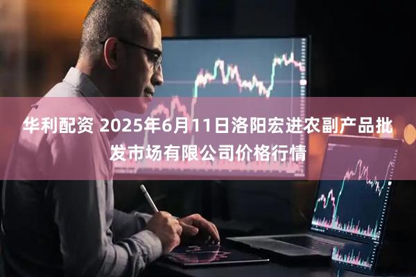 华利配资 2025年6月11日洛阳宏进农副产品批发市场有限公司价格行情
